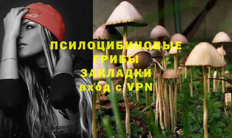 Псилоцибиновые грибы MAGIC MUSHROOMS  Коммунар 